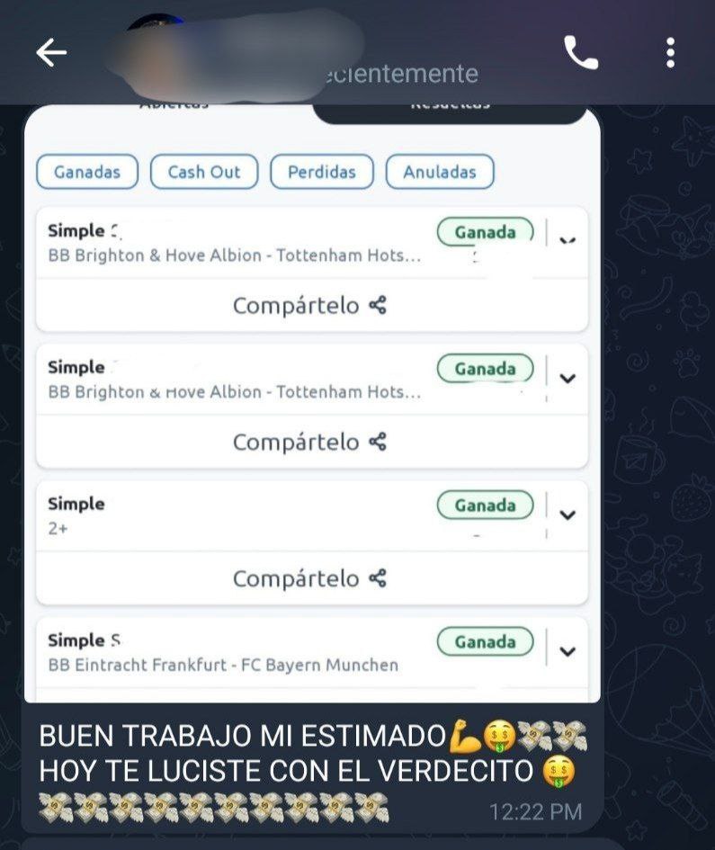 photo_4902239547144473370_y